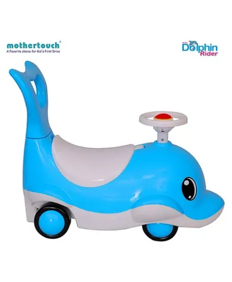 Picture of Dolphin ride on