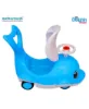 Picture of Dolphin ride on