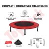 Picture of Trampoline 