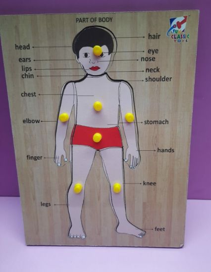 Picture of Parts Of Body Peg Board