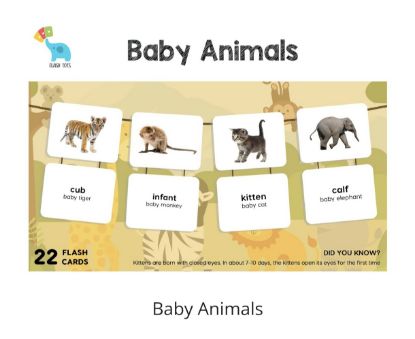 Picture of Baby Animals (Flash Cards) 