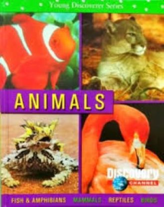 Picture of Young Discoverer Series: Animals