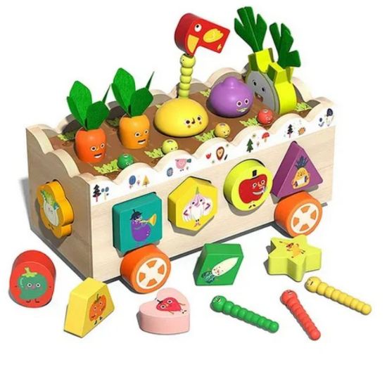 Picture of Vegetables Sorting