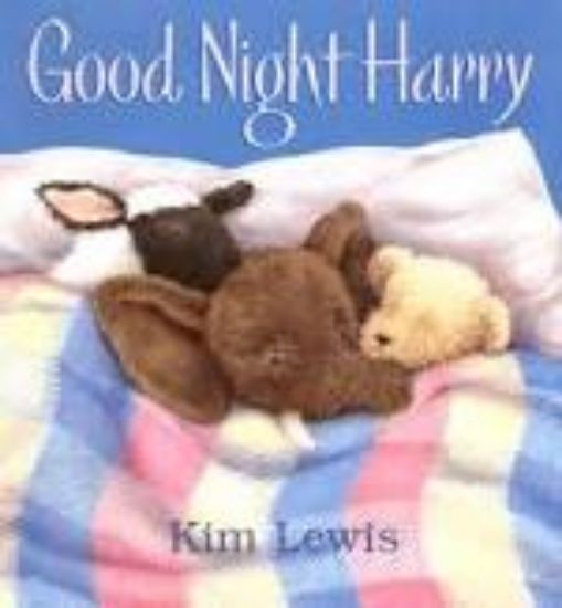 Picture of Good Night, Harry