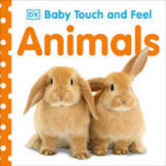 Picture of Animals (Baby Touch and Feel)