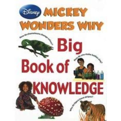 Picture of Mickey Wonders Why Big Book Of Knowledge