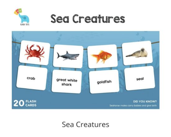 Picture of Sea Animals (Flash Cards) 