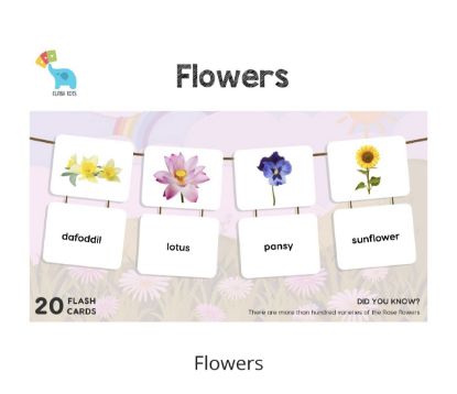 Picture of Flowers ( Flash Cards) 