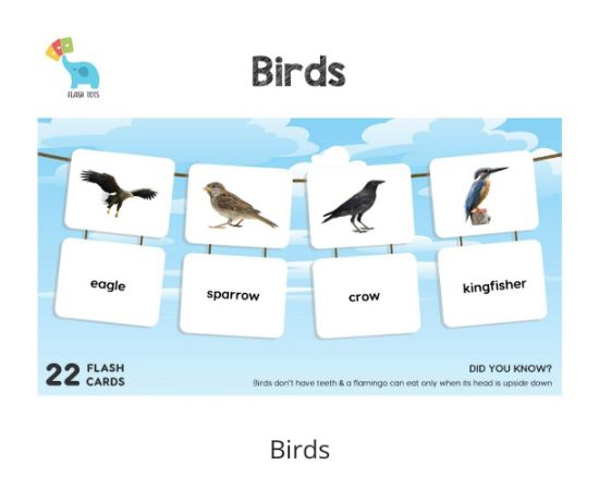 Picture of Birds (Flash Cards) 