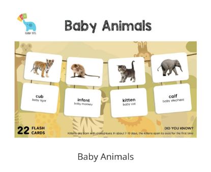 Picture of Baby Animals (Flash Cards) 