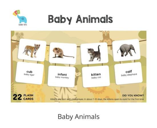 Picture of Baby Animals (Flash Cards) 