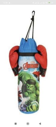 Picture of Punching Bag With Gloves