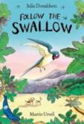 Picture of Follow the Swallow