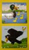 Picture of Birds... Puzzles