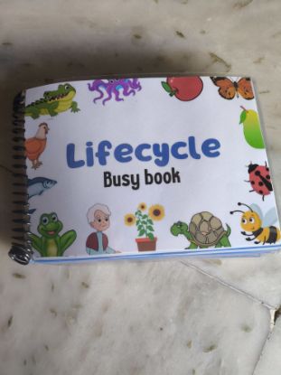 Picture of The Life Cycle Busy Book 