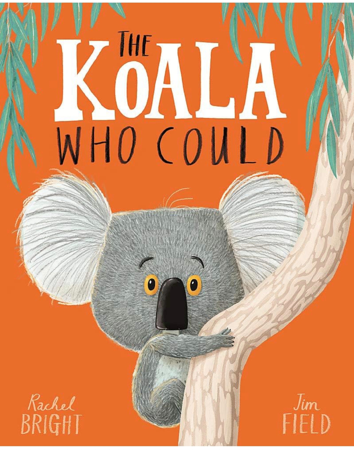 Your store. The Koala Who Could