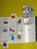 Picture of 7 Activity sheets.  (Seasons) 