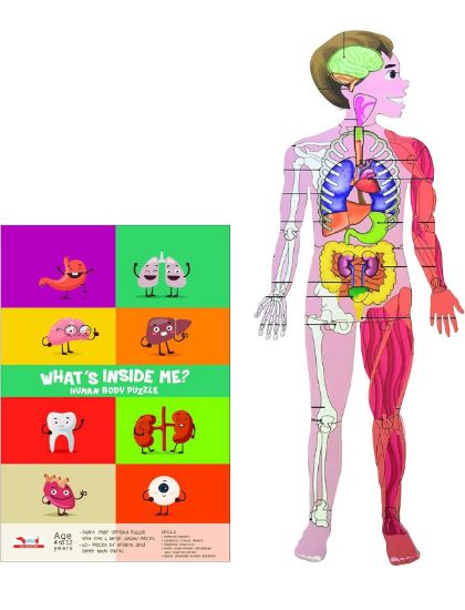 Picture of Cocomelon Human Body Puzzle 