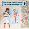 Picture of Cocomelon Human Body Puzzle 
