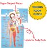 Picture of Cocomelon Human Body Puzzle 