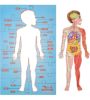 Picture of Cocomelon Human Body Puzzle 