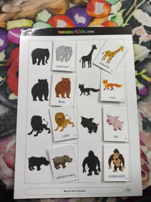 Picture of Shadow Matching (Activity Sheets) 