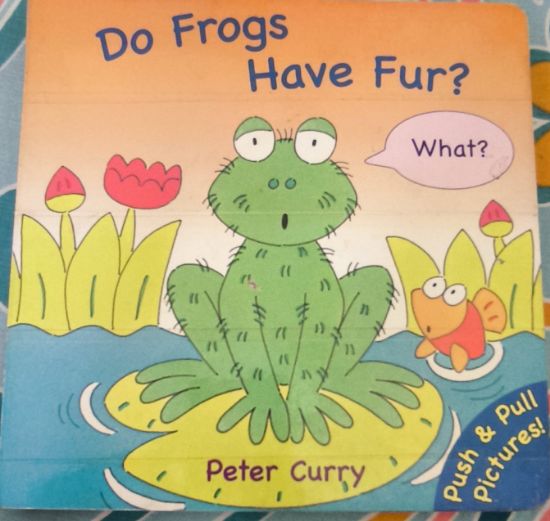 Picture of Do Frogs Have Fun