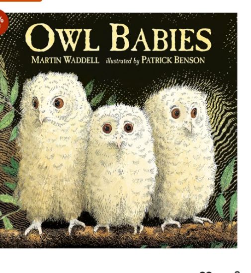 Picture of Owl Babies