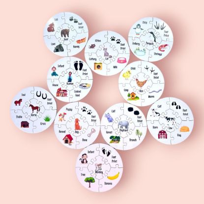 Picture of Animal and Habitat Connection Circular Puzzle Set 