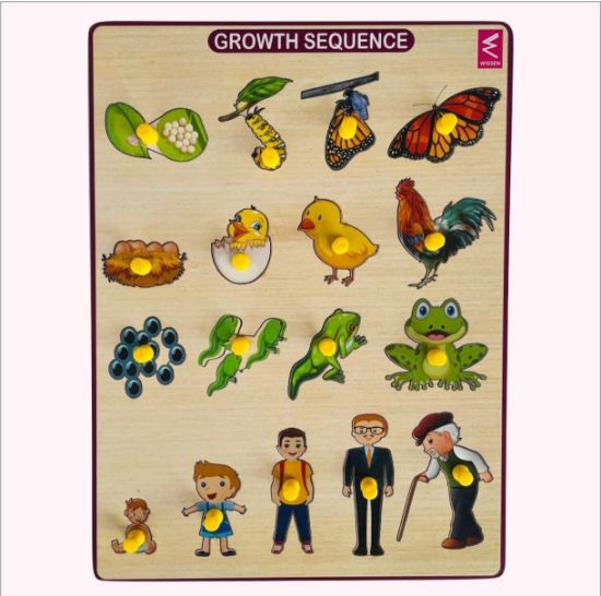 Picture of Growth Sequence Peg Board 