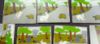 Picture of Hare And The Tortoise Story Board