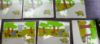 Picture of Hare And The Tortoise Story Board