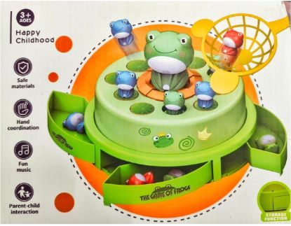 Picture of Bouncing Frog Catching Game.