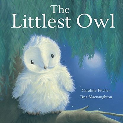Show details for The Littlest Owl Picture of The Littlest Owl