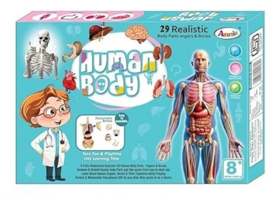 Picture of Human Body Parts Educational Board Game for Kids 